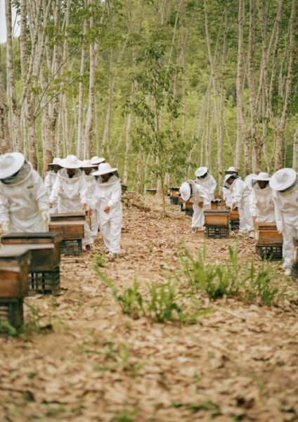 养蜂人非物质文化遗产（养蜂人非物质文化遗产为什么申遗成功）-第3张图片-八三百科