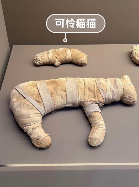 非物质文化遗产木乃伊(木乃伊为什么被认定为非遗)-第2张图片-八三百科 非物质文化遗产木乃伊(木乃伊为什么被认定为非遗)-第2张图片-八三百科