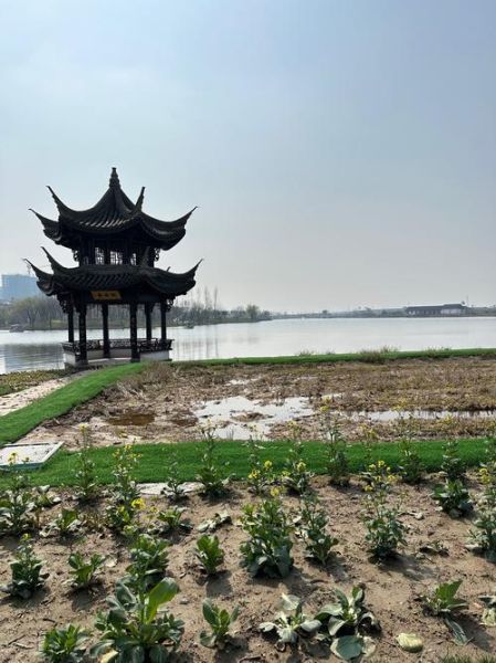 上虞 非物质文化遗产(上虞非遗有哪些值得一探的宝藏)-第3张图片-八三百科 上虞 非物质文化遗产(上虞非遗有哪些值得一探的宝藏)-第3张图片-八三百科