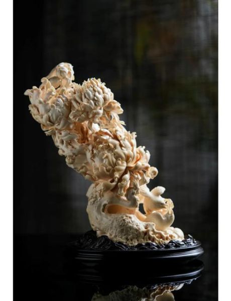 牙雕非物质文化遗产有(牙雕非物质文化遗产有哪些代表性流派)-第1张图片-八三百科 牙雕非物质文化遗产有(牙雕非物质文化遗产有哪些代表性流派)-第1张图片-八三百科