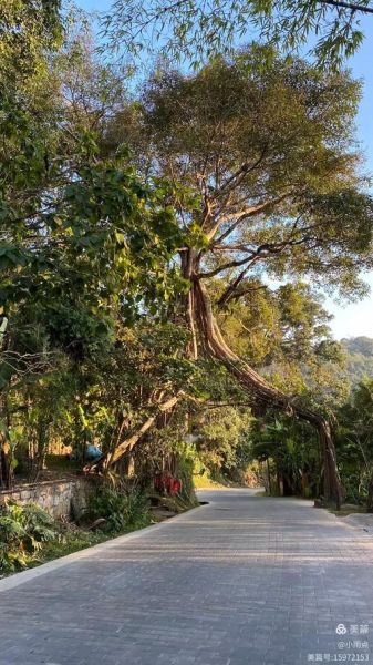 澜沧非物质文化遗产照片（澜沧非遗手工摄影打卡地图）-第3张图片-八三百科