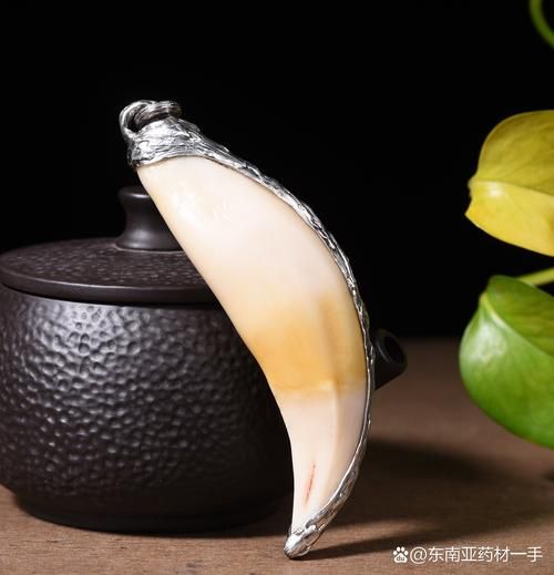 非物质文化遗产虎牙（虎牙直播非遗有哪些）-第2张图片-八三百科