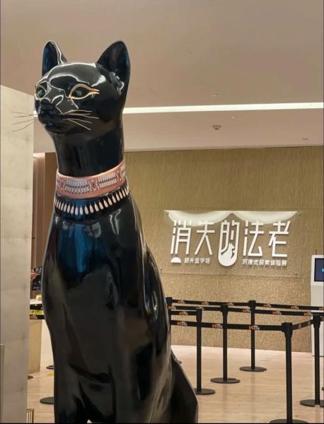 非物质文化遗产法老（非物质文化遗产法老传承方式揭秘）-第3张图片-八三百科