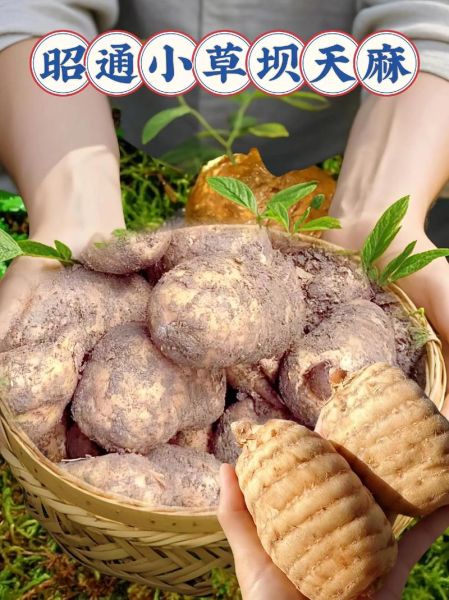 昭通非物质文化遗产对窝（昭通对窝是什么非遗瑰宝）-第1张图片-八三百科