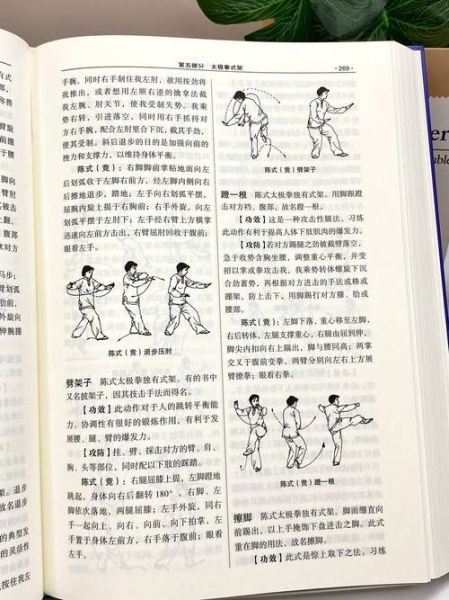 非物质文化遗产之太极拳（太极拳非物质文化遗产练多久能入门）-第1张图片-八三百科