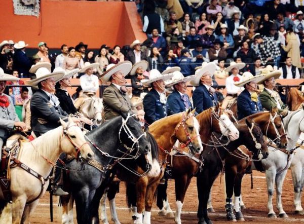 非物质文化遗产马术（非物质文化遗产马术是什么）-第1张图片-八三百科