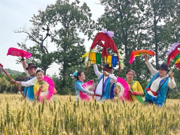 海非物质文化遗产（海阳大秧歌传承方式有哪些）-第3张图片-八三百科