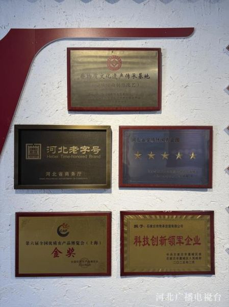 非物质文化遗产老牌（非物质文化遗产老字号的年轻玩法）-第1张图片-八三百科