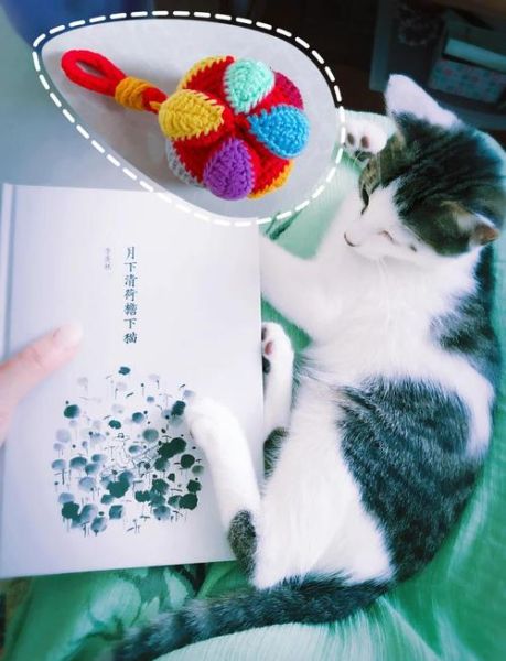 非物质文化遗产猫咪（非遗猫咪绒绣技艺入门教程）-第1张图片-八三百科