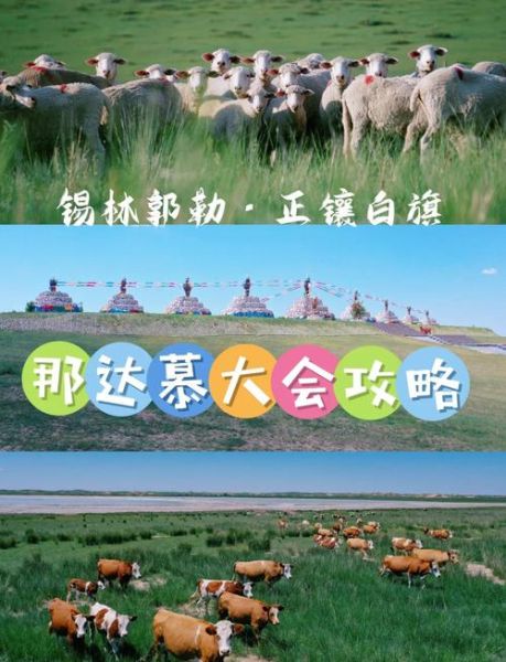 非物质文化遗产阿伦（阿伦草原非遗那达慕在哪办）-第1张图片-八三百科