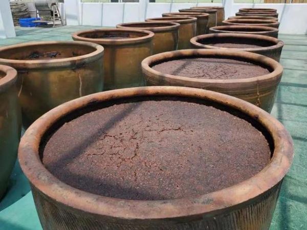 酱缸子非物质文化遗产（酱缸子非遗传承技艺怎么学）-第3张图片-八三百科