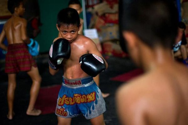 泰拳非物质文化遗产（泰拳非遗传承多久了）-第1张图片-八三百科