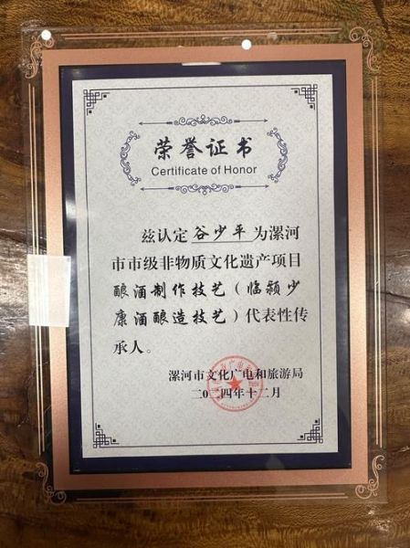 漯河 非物质文化遗产（漯河非遗名录有哪些）-第2张图片-八三百科