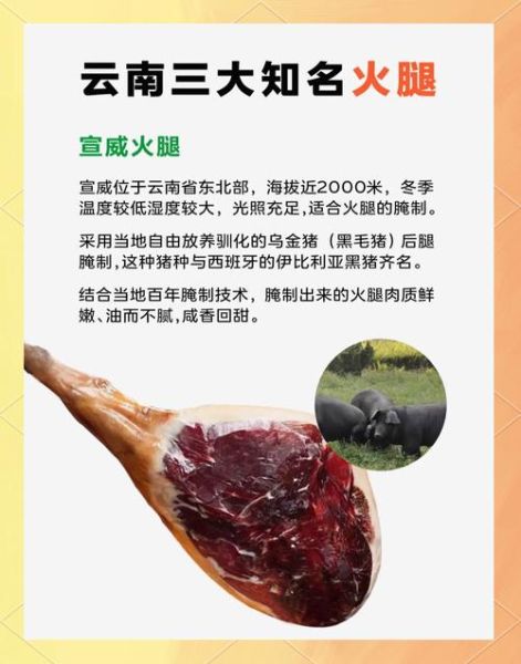 宣威非物质文化遗产级别（宣威火腿是什么级别的非遗）-第1张图片-八三百科