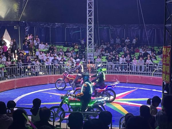 马戏非物质文化遗产（马戏非物质文化遗产传承人怎么考证）-第2张图片-八三百科