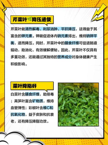 非物质文化遗产菜叶（菜叶非遗传承是什么）-第1张图片-八三百科