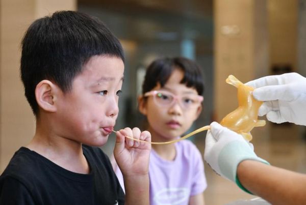 吹枪非物质文化遗产（吹枪怎么传承下去？小白入门必读）-第2张图片-八三百科