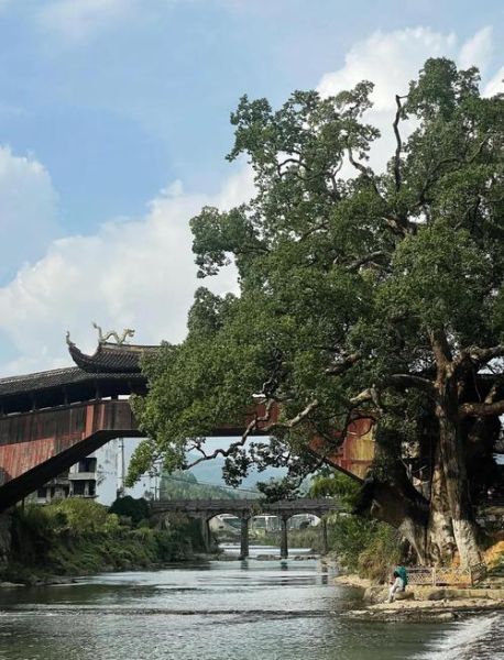 泰顺非物质文化遗产廊桥（泰顺非遗廊桥怎么参观最省心）-第1张图片-八三百科