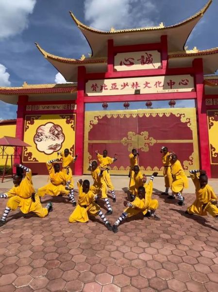 非物质文化遗产 和尚（非物质文化遗产中的少林寺武术和尚怎么来的）-第1张图片-八三百科