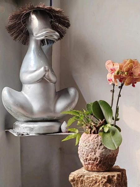 乡村非物质文化遗产面积(乡村非遗分布面积怎么查)-第1张图片-八三百科 乡村非物质文化遗产面积(乡村非遗分布面积怎么查)-第1张图片-八三百科