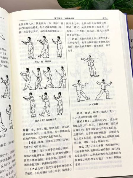 兰溪非物质文化遗产南拳（兰溪南拳非遗怎么学？入门路线实测）-第3张图片-八三百科