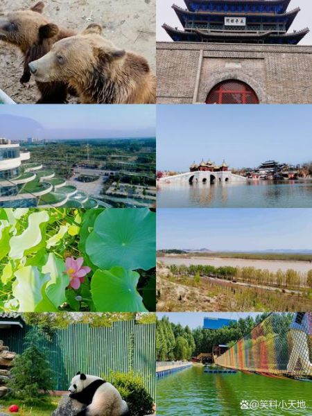 关于聊城非物质文化遗产（聊城最好的非遗景点一日游路线）-第3张图片-八三百科