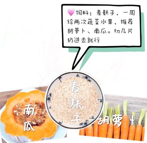 非物质文化遗产蛐蛐（蛐蛐怎么养？新手非遗蛐蛐饲养全指南）-第2张图片-八三百科