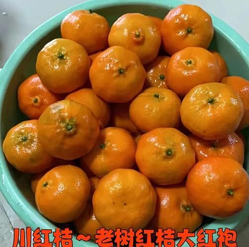 古红桔非物质文化遗产（古红桔非物质文化遗产是国家级吗）-第1张图片-八三百科