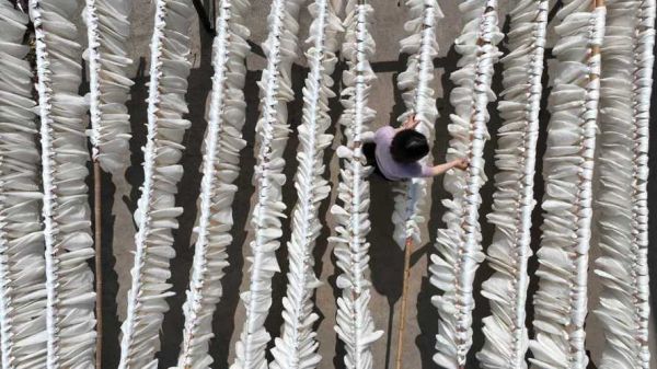 非物质文化遗产蚕茧（蚕茧制作蚕丝被全过程手工教学）-第1张图片-八三百科