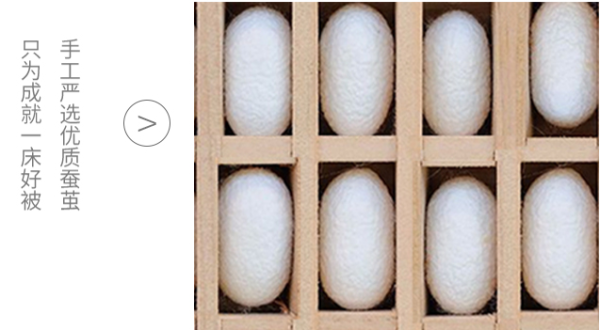 非物质文化遗产蚕茧（蚕茧制作蚕丝被全过程手工教学）-第3张图片-八三百科